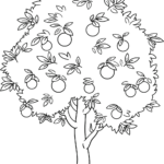 Black and white line art of a cartoon orange tree with round fruit and leafy branches, designed for children to color.