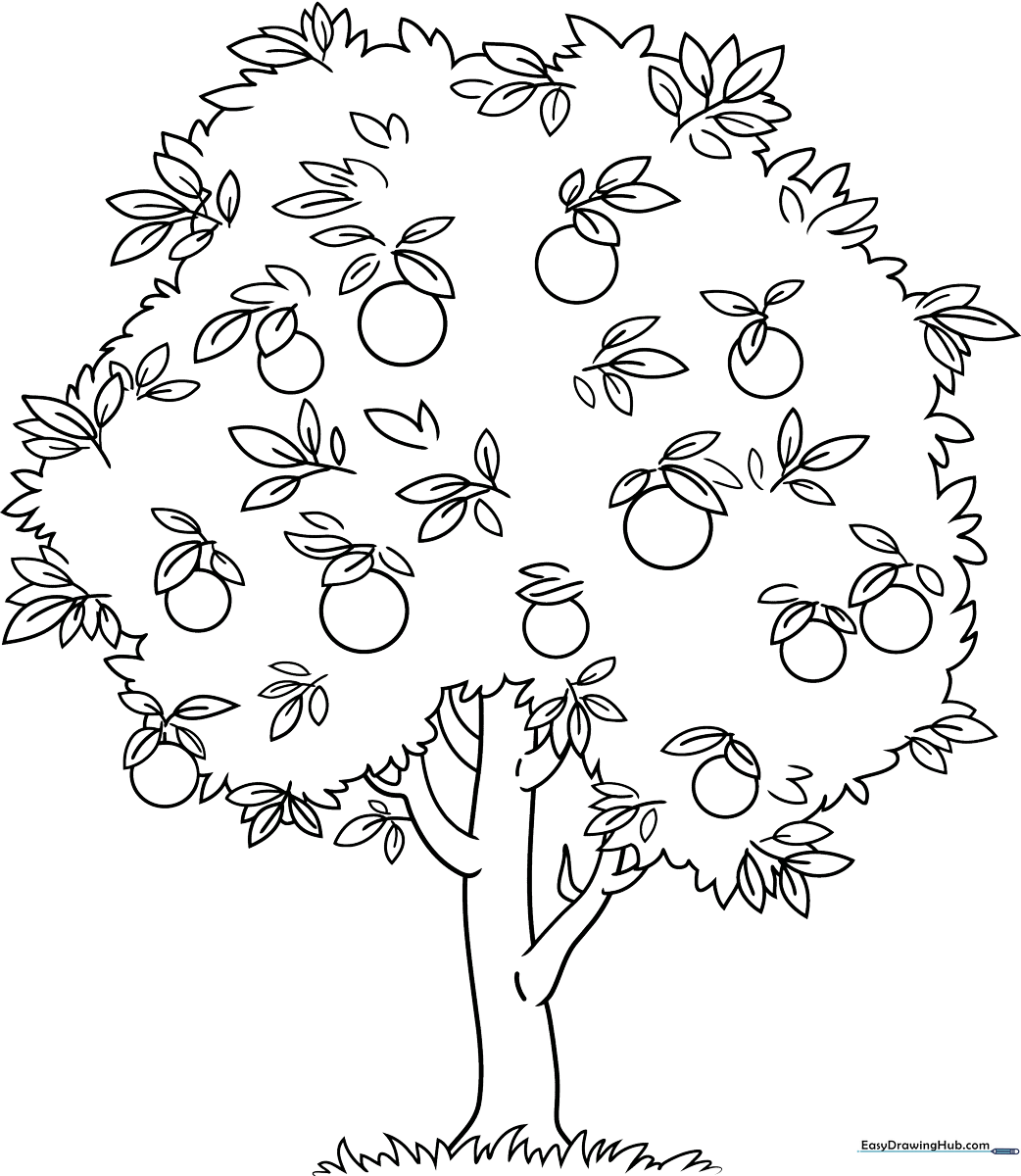 Black and white line art of a cartoon orange tree with round fruit and leafy branches, designed for children to color.