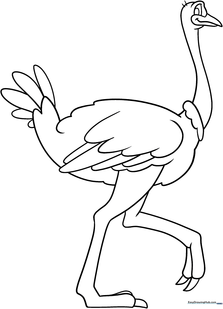 A friendly cartoon ostrich with a long neck and large eyes, featuring bold outlines perfect for children to color.