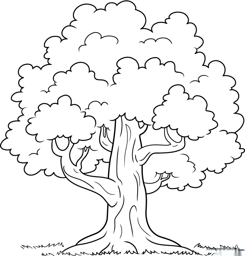 Tree Outline Coloring Sheet