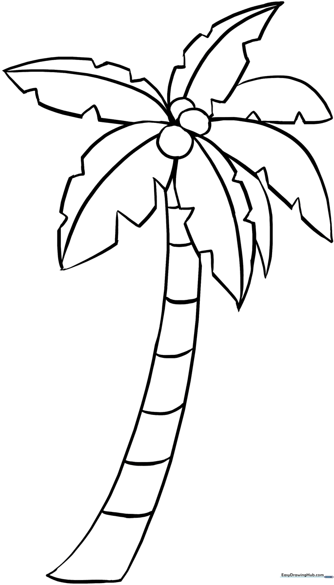 A simple black and white line drawing of a palm tree with a textured trunk and large, sweeping fronds, designed for children to color.