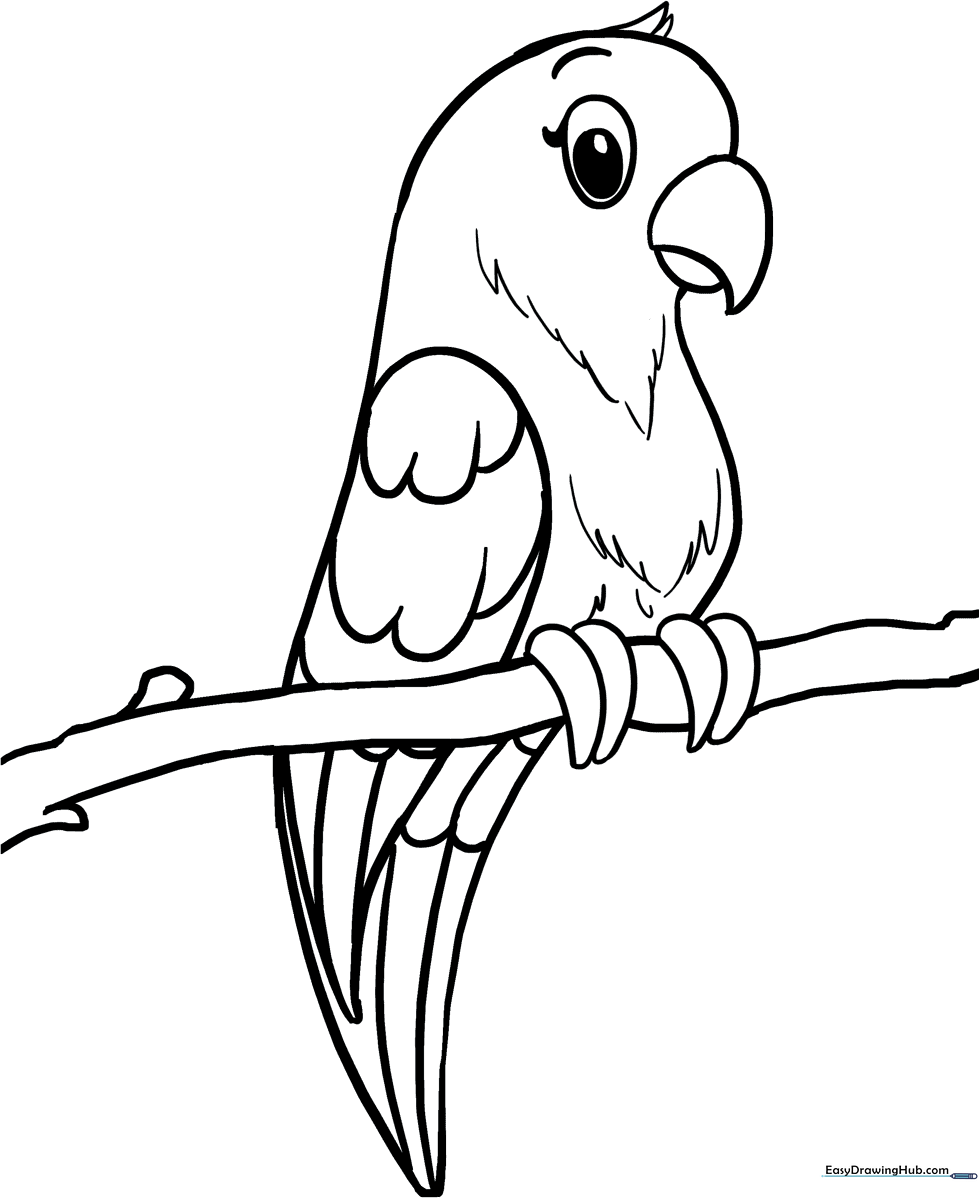 Black and white line art of a friendly parrot perched on a branch, featuring clear outlines for easy coloring by children.