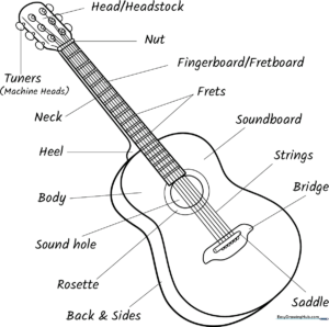 Educational diagram of an acoustic guitar with clearly labeled parts for kids to color and identify.