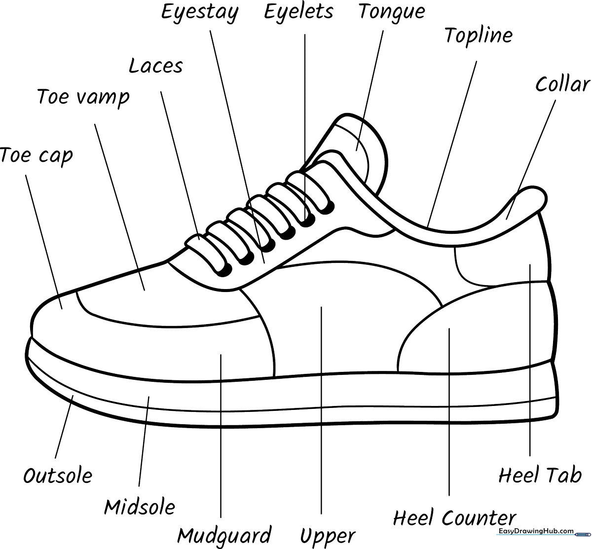 Educational coloring page showing a sneaker with labeled parts including the sole, laces, tongue, and heel for children to color and learn.