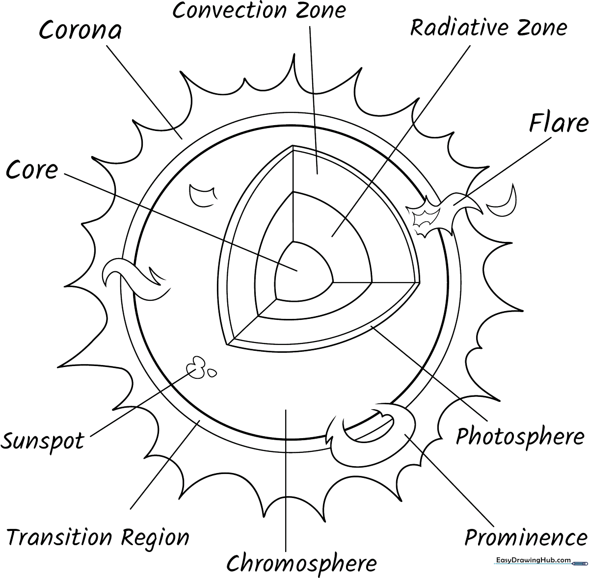 Educational diagram of the sun's layers with clear labels for coloring, designed for elementary science students.