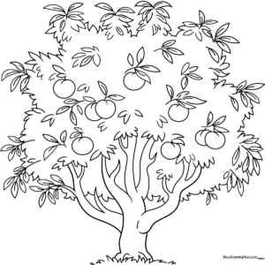 A clean, black-and-white line art illustration of a peach tree with rounded leaves and several hanging peaches, designed for children to color.