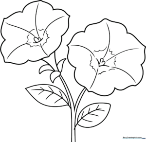 Black and white line art of a petunia flower with wide, trumpet-shaped petals and a clear stem, designed for children to color.