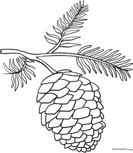 Black and white line art of a pinecone with distinct, overlapping scales, designed for children to color and practice pattern recognition.