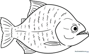 Cartoon piranha with large eyes and sharp teeth, outlined in bold black lines on a white background for easy coloring.