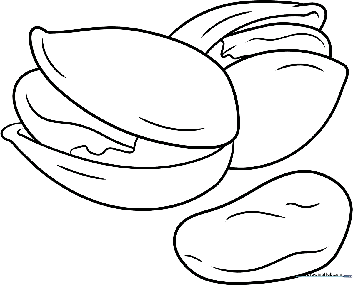 Black and white line art of a cracked pistachio nut showing the inner seed, designed for children to color.