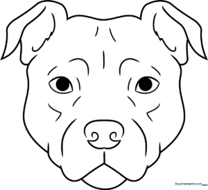 Black and white line art of a friendly Pitbull face with expressive eyes and a wide snout, designed for children to color.