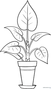 Black and white line art of a potted plant with broad, rounded leaves, designed for children to color with crayons or markers.
