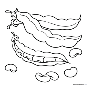 Line art illustration of a bean pod with visible seeds for children to color