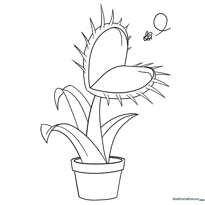 Venus Flytrap Coloring Sheet