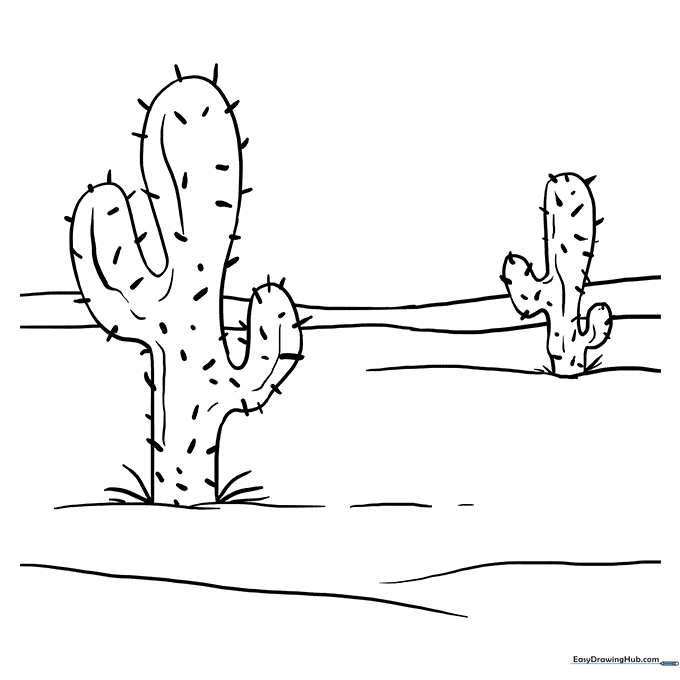 Cactus Coloring Sheet