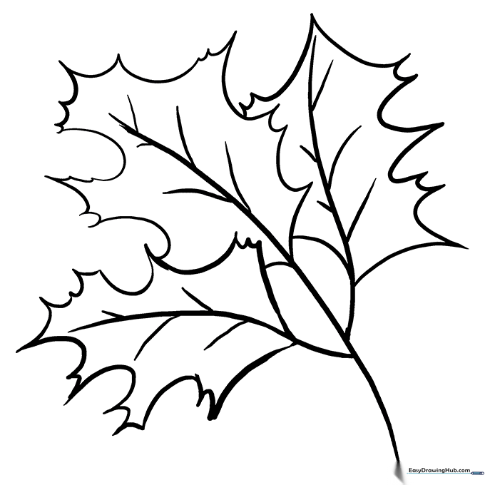 Fall Oak Leaves Coloring Sheet