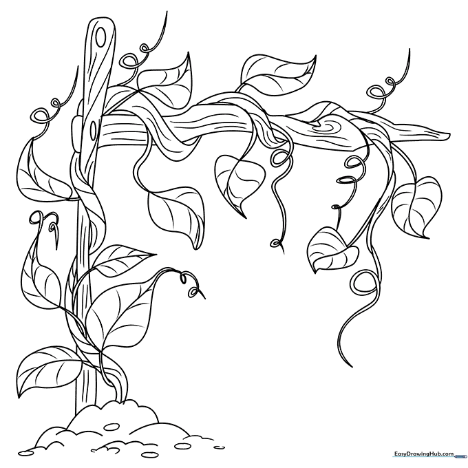 Vines Coloring Sheet