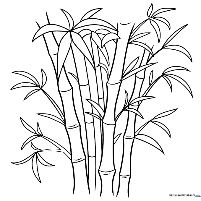 Bamboo Coloring Sheet