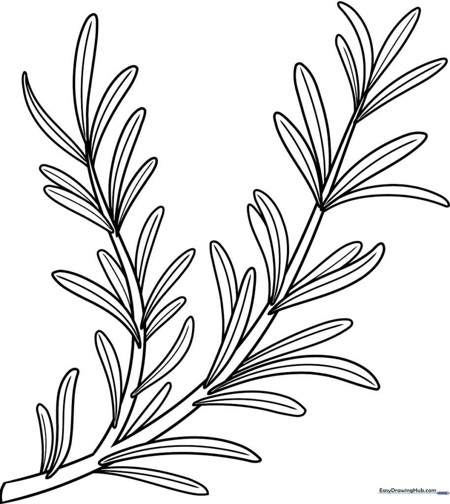 Fragrant Rosemary Sprig