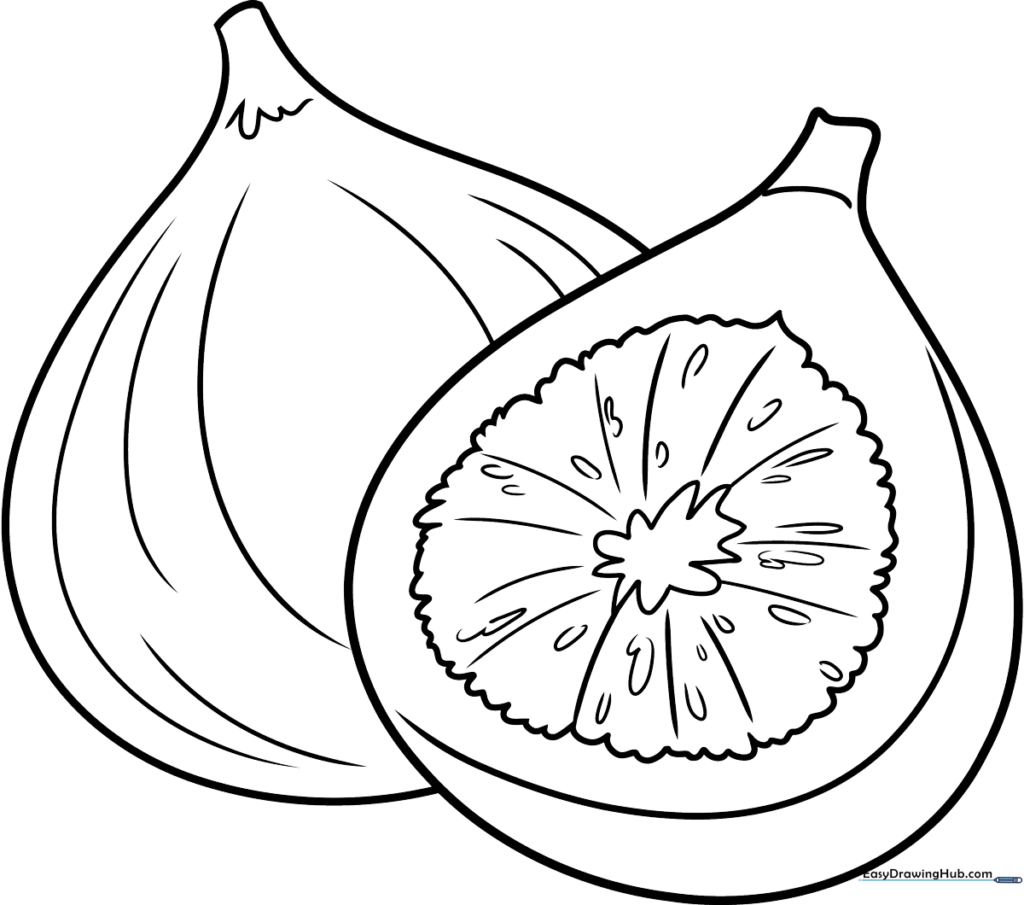 Sweet Fig Slice