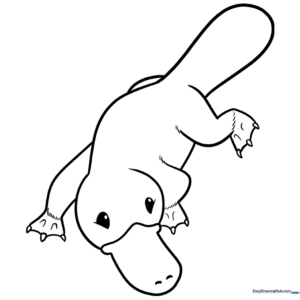 A friendly cartoon platypus with a wide bill and webbed feet, outlined in bold black lines for easy coloring by children.
