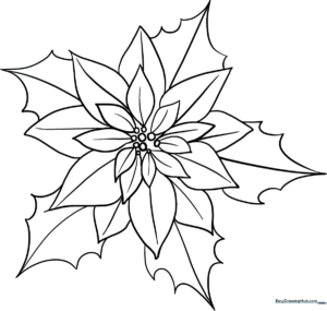 Black and white line art of a poinsettia flower with large, pointed bracts and a central cluster of small buds, ready for coloring.