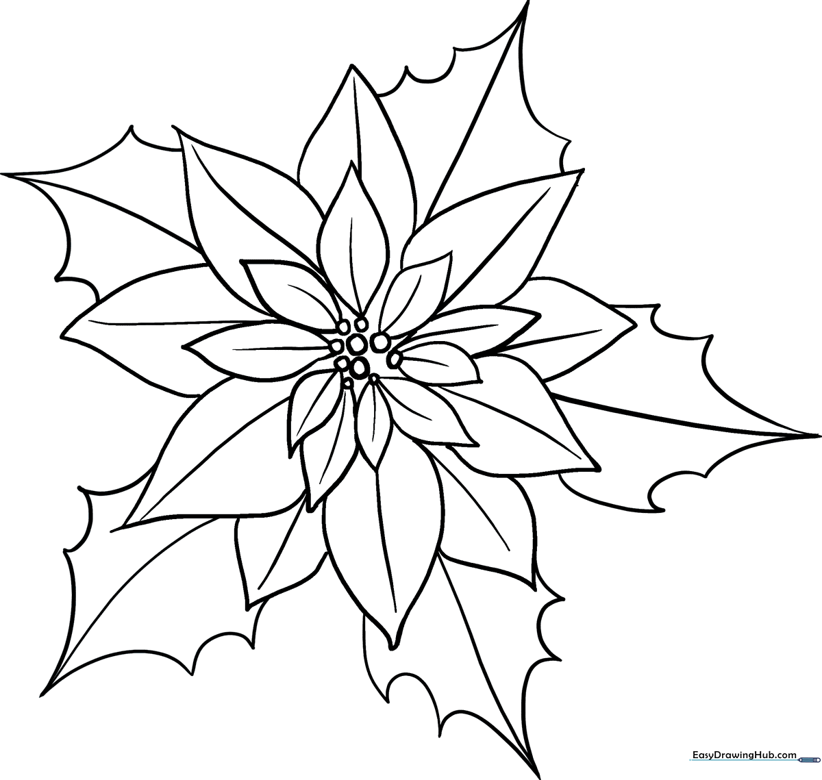 Black and white line art of a poinsettia flower with large, pointed bracts and a central cluster of small buds, ready for coloring.