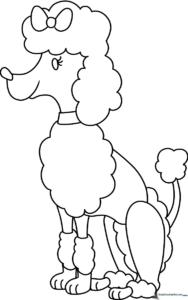 A clean, black-and-white line art illustration of a friendly Poodle standing, featuring distinct curly fur sections ready for coloring.