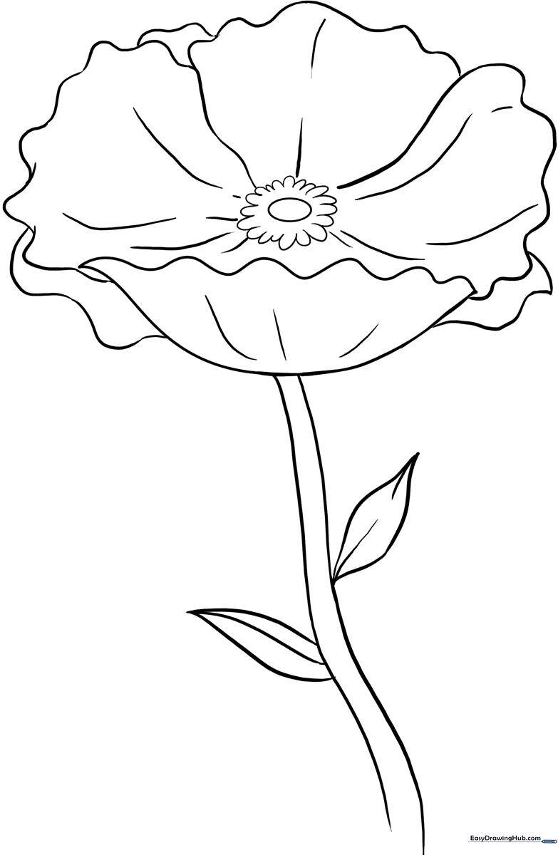 Black and white line art of a single poppy flower with large, delicate petals and a central seed pod, ready for coloring.