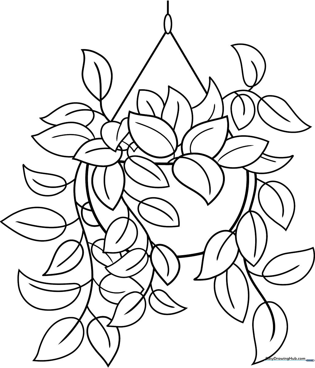 Black and white line art of a Pothos plant in a hanging pot with heart-shaped leaves, ready for children to color.