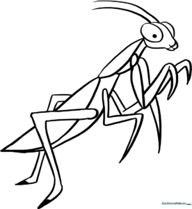 A friendly cartoon praying mantis with large eyes and folded front legs, outlined in bold black lines on a white background for easy coloring.