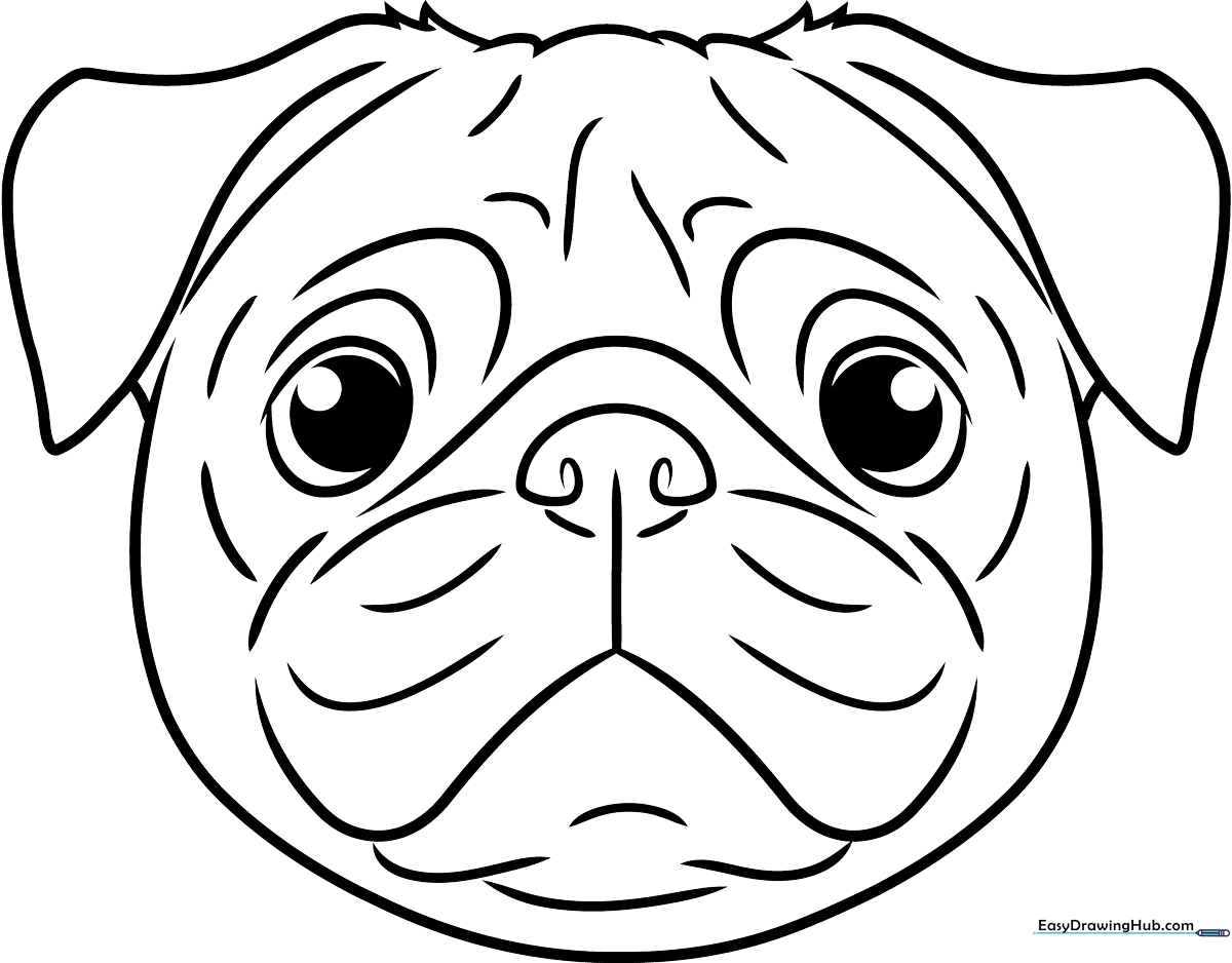 Black and white line art of a cute pug face with large expressive eyes and wrinkled forehead, designed for children to color.