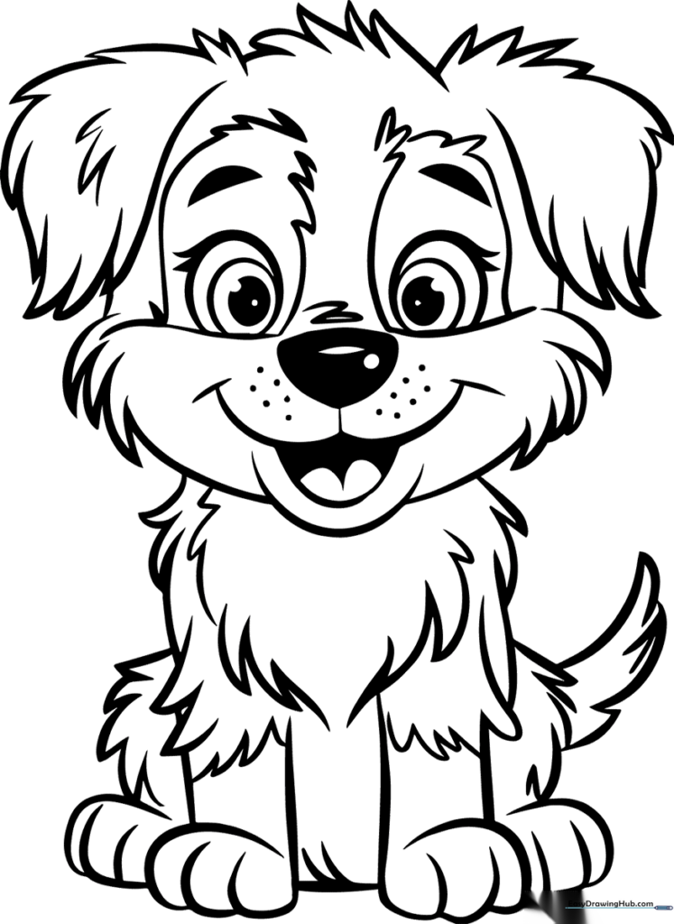 Australian Shepherd Puppy