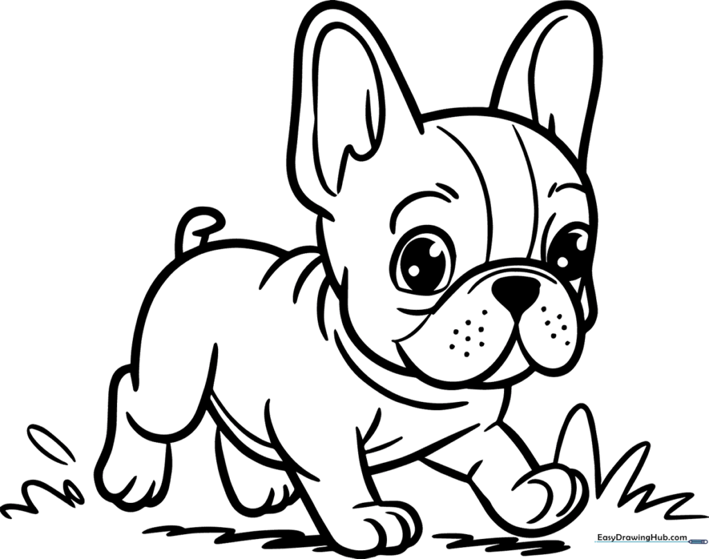 Running French Bulldog