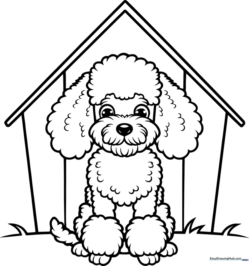 Fluffy Poodle Puppy