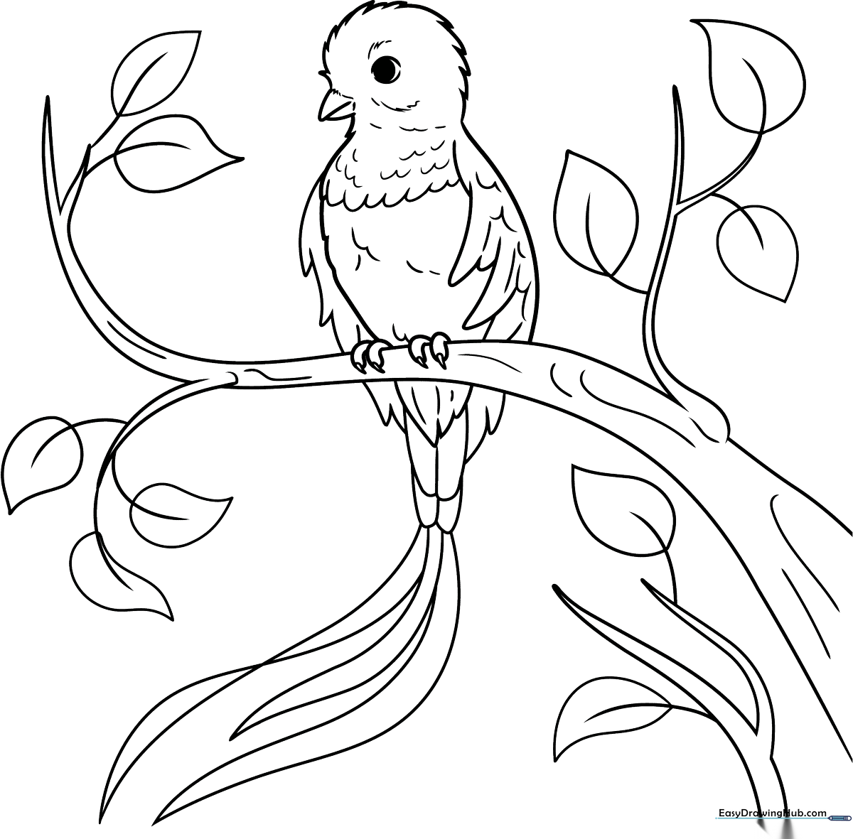 Black and white line art illustration of a Resplendent Quetzal perched on a branch, featuring clear outlines for easy coloring by children.