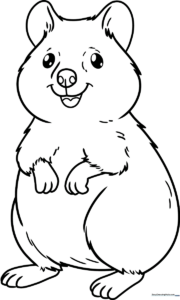 A friendly cartoon quokka with a smiling face and rounded ears, featuring thick, clean outlines for easy coloring by children.