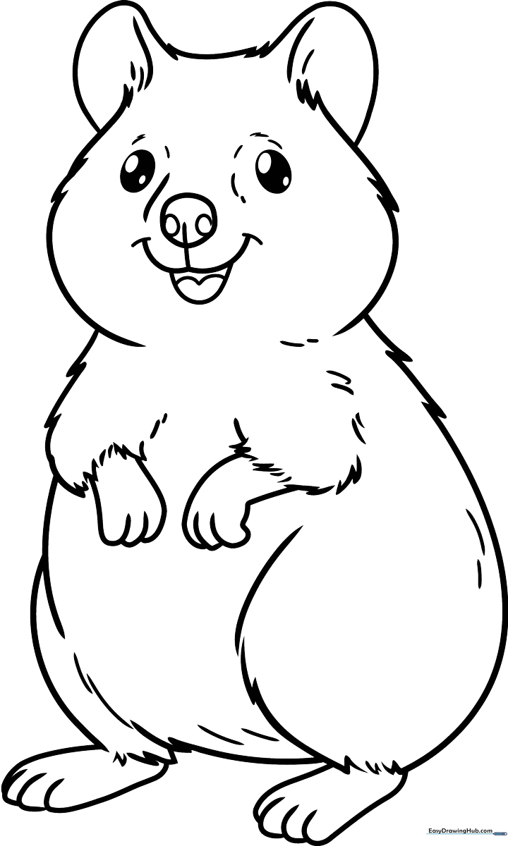 A friendly cartoon quokka with a smiling face and rounded ears, featuring thick, clean outlines for easy coloring by children.
