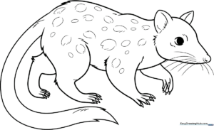 Black and white line art of a cute, spotted quoll standing in a friendly pose, ready for children to color.