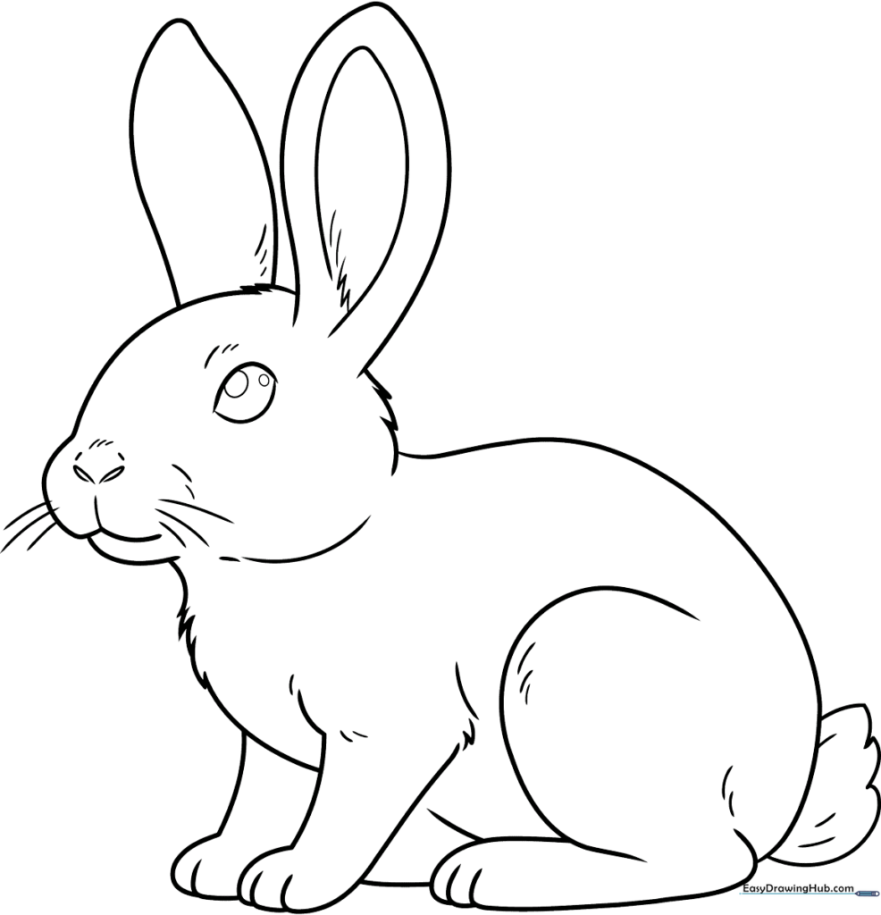 Easy Realistic Bunny Coloring Sheet
