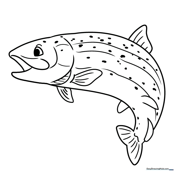 Rainbow Trout Fish