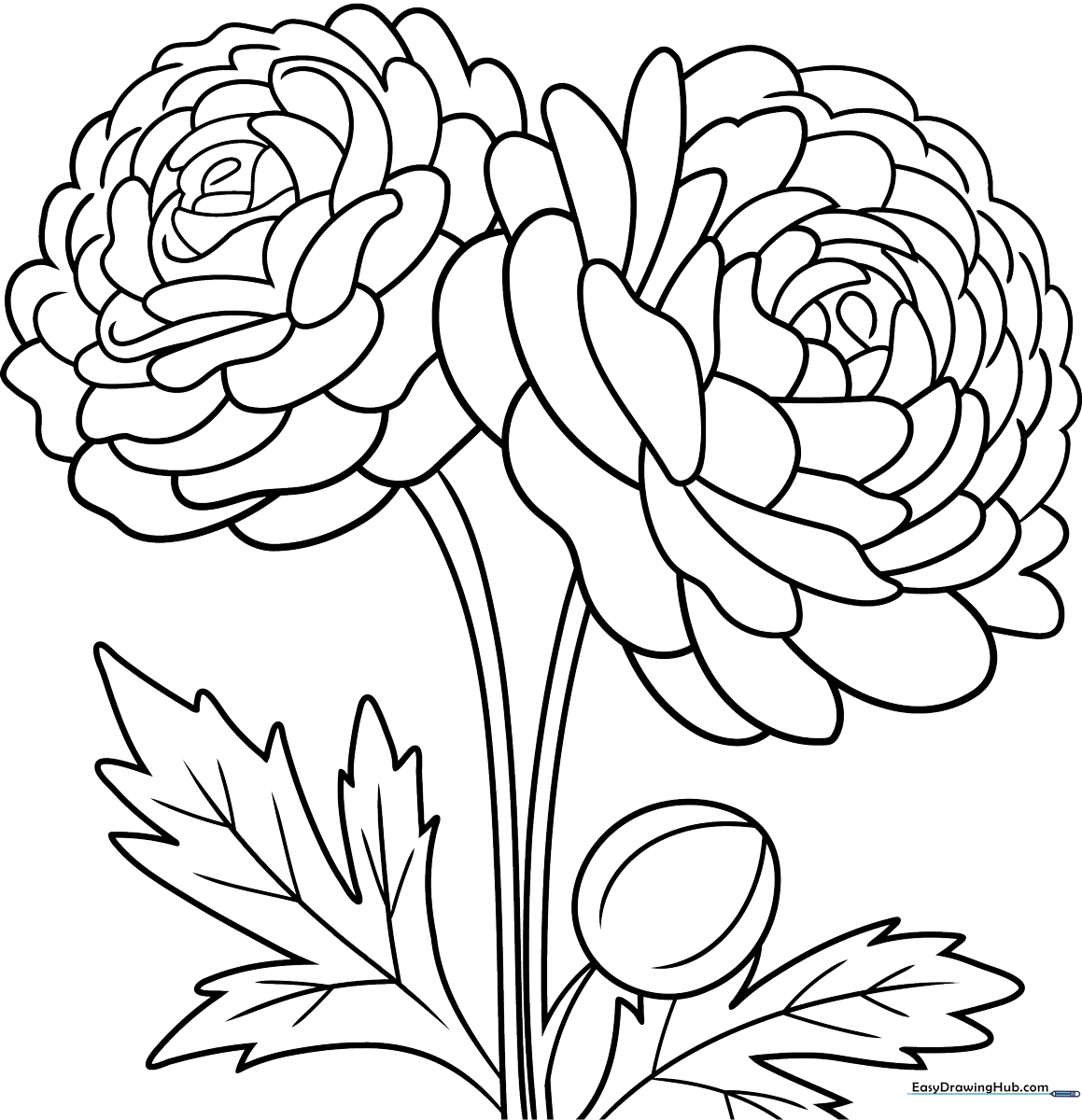 Black and white line art of a ranunculus flower with layered, ruffled petals and a sturdy stem, designed for children to color.