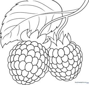 Black and white line art of a single raspberry with a small leaf, designed for children to color.