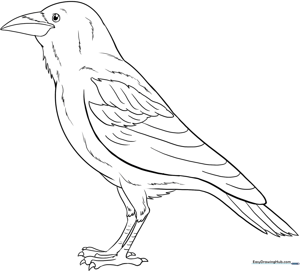 Black and white line art of a raven perched on a branch, featuring clear outlines for easy coloring by children.