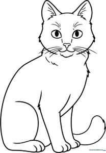 A detailed line-art illustration of a sitting cat with realistic proportions, designed for educational coloring activities.