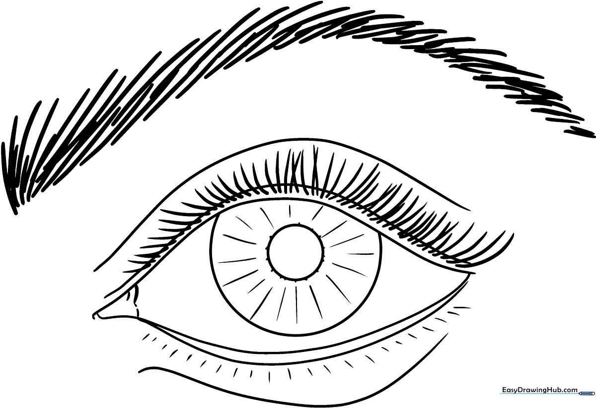 Detailed line art of a human eye featuring a defined iris, pupil, and eyelid folds, designed for educational coloring practice.