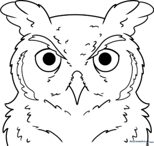 Detailed black and white line art of an owl face with large expressive eyes and textured feather patterns, designed for educational coloring activities.