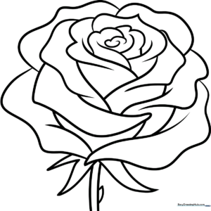 Black and white line art of a realistic rose with detailed petals and leaves, designed for children to color.