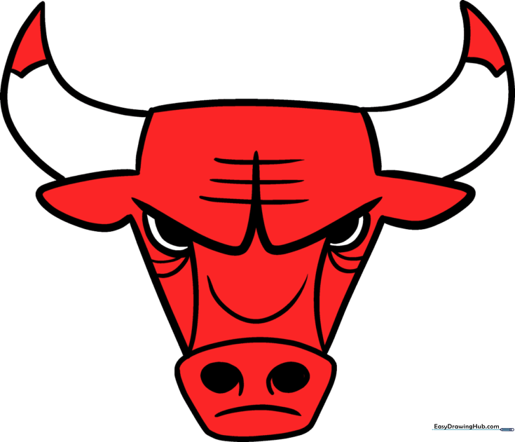 Chicago Bulls Logo