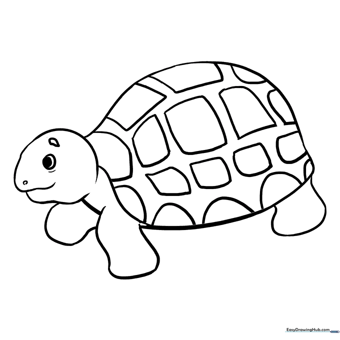 Sea Turtle Coloring Sheet